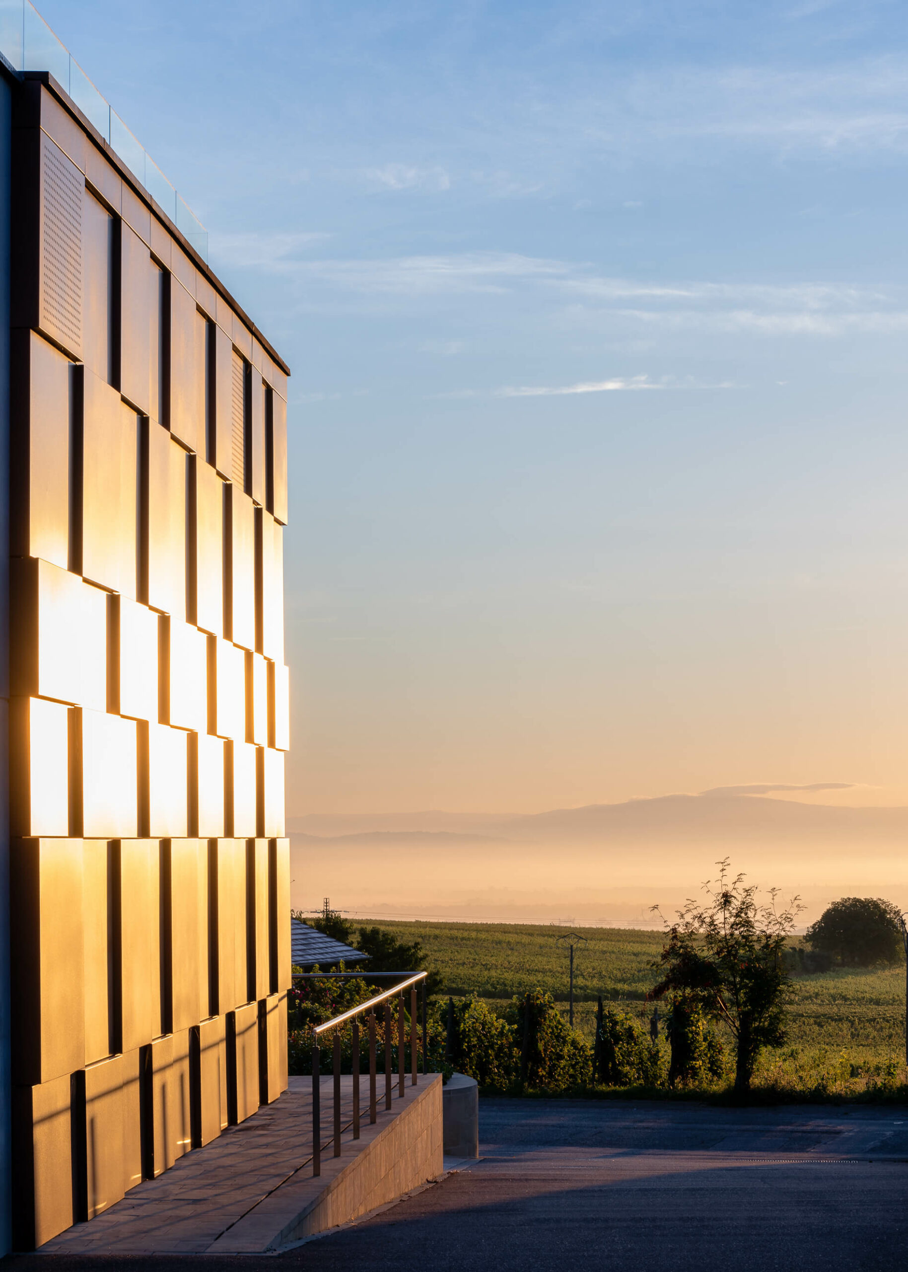 photographie-architecture-cave-vinicole-le-belvedere-cattin