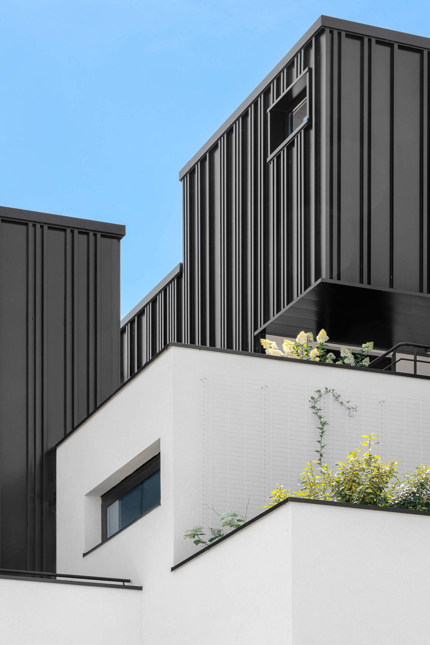 vue-angle-facade-la-fibule-strasbourg-michael-bouton vue-angle-facade-la-fibule-strasbourg-michael-bouton