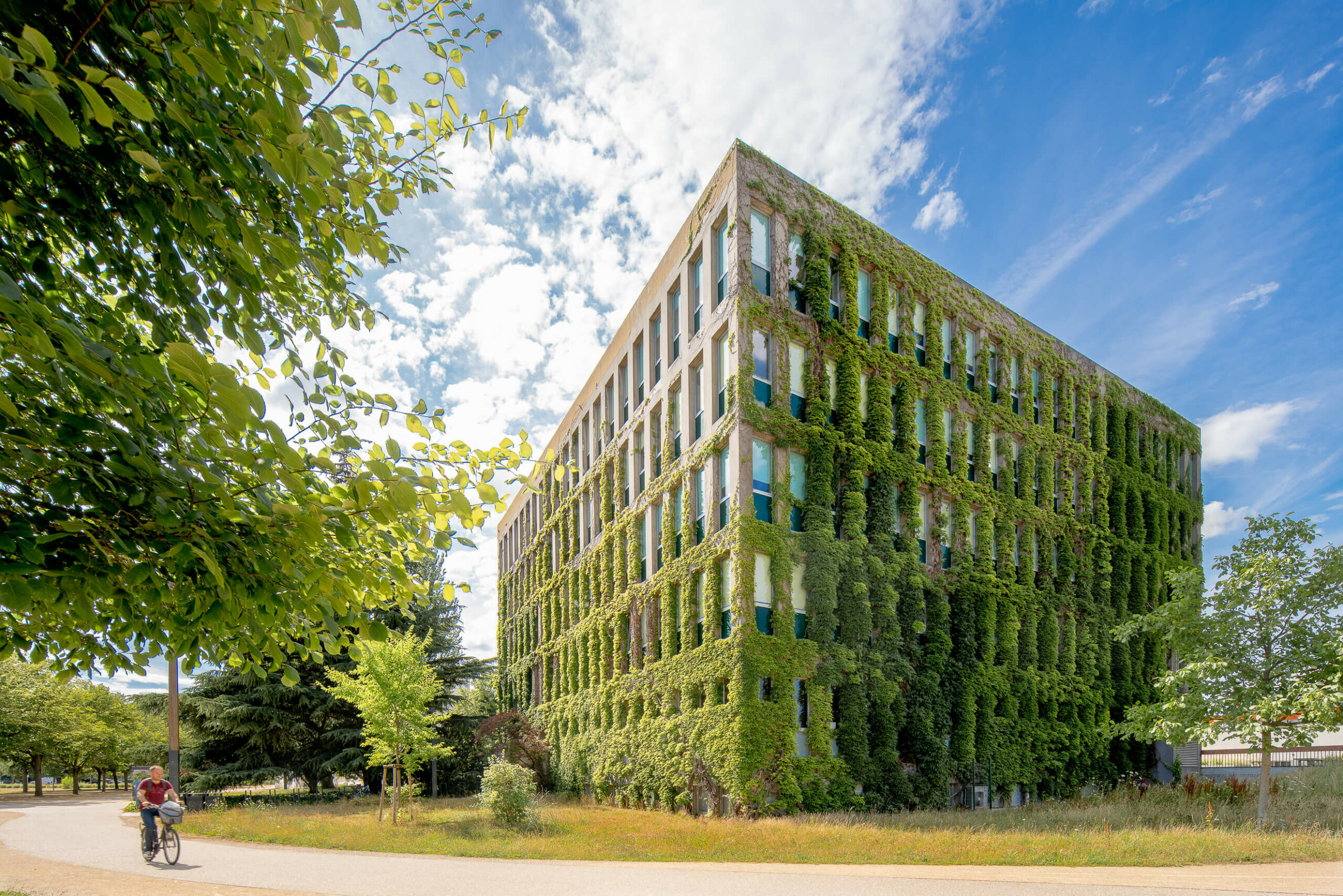 IBMC Strasbourg - Pierre Vivien