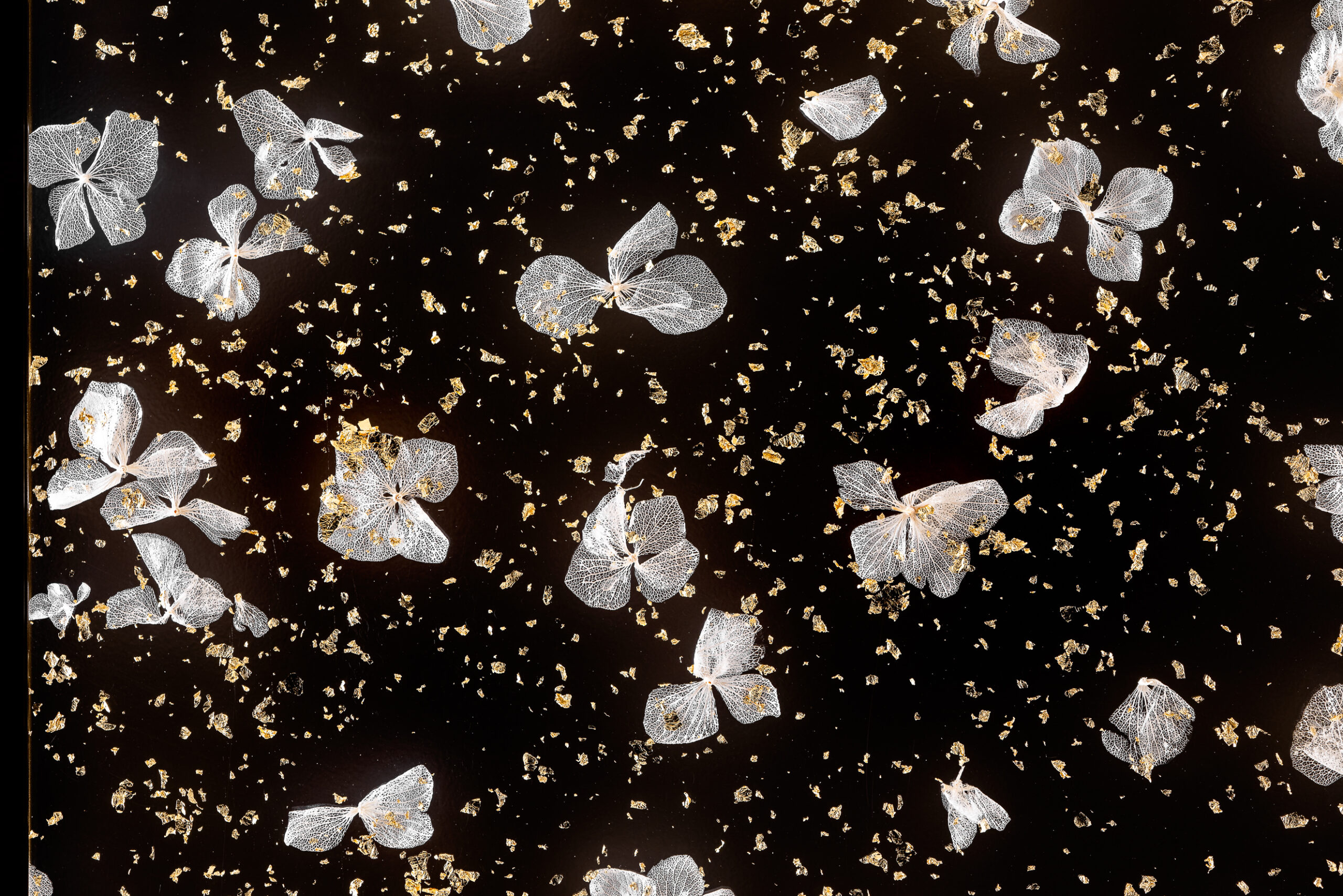 cabinet-medical-design-interieur-strasbourg cabinet-medical-design-interieur-strasbourg