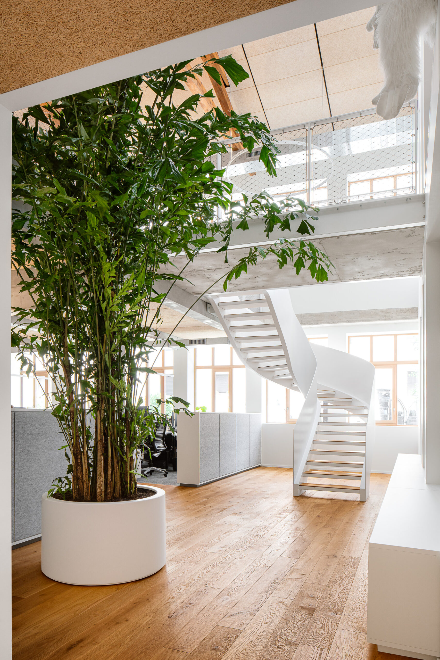 photographe Escalier bureaux agence architecture Oslo photographe Escalier bureaux agence architecture Oslo