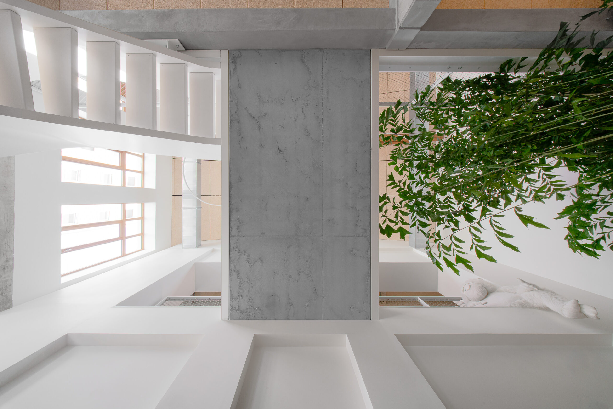 Photo detail de matériaux bois, béton et metal Photo detail de matériaux bois, béton et metal