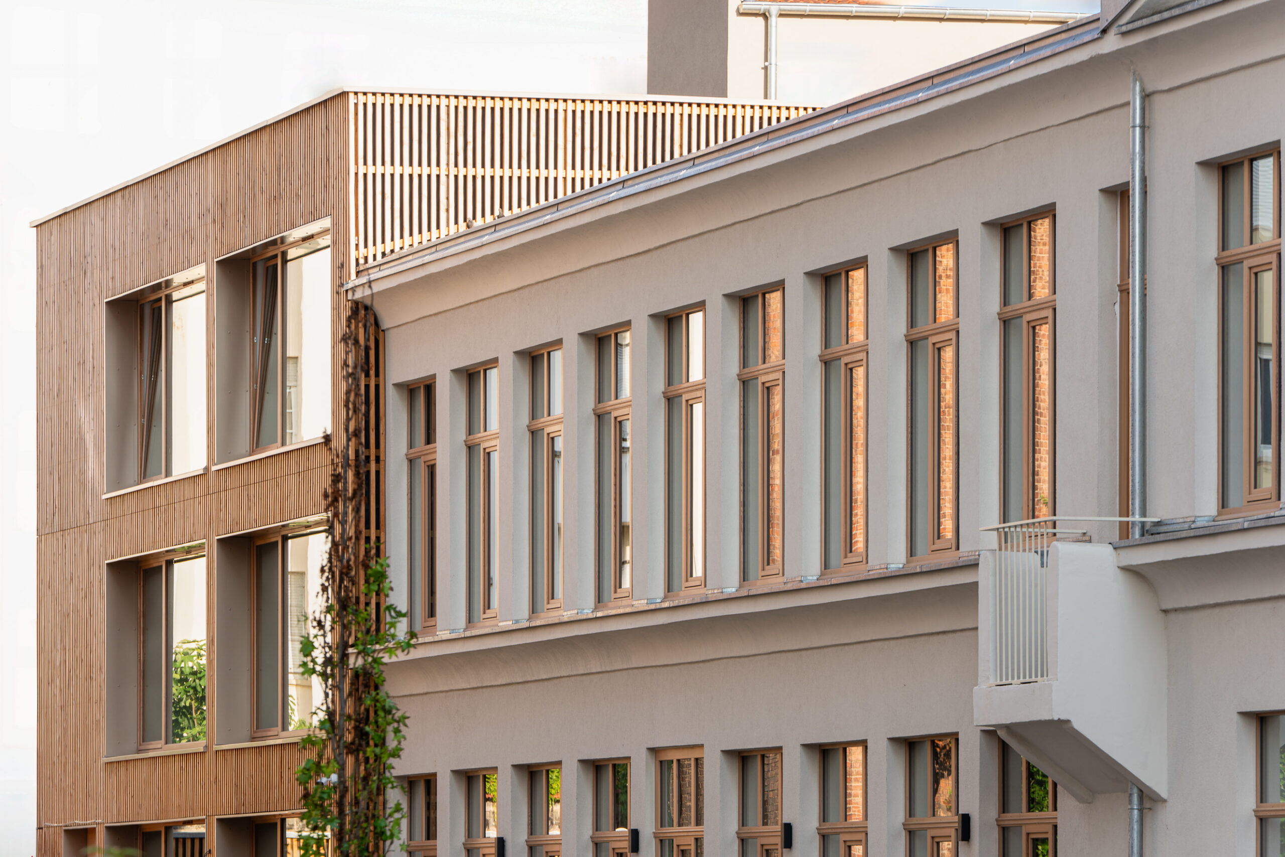 Focus photographique modénatures agence Oslo